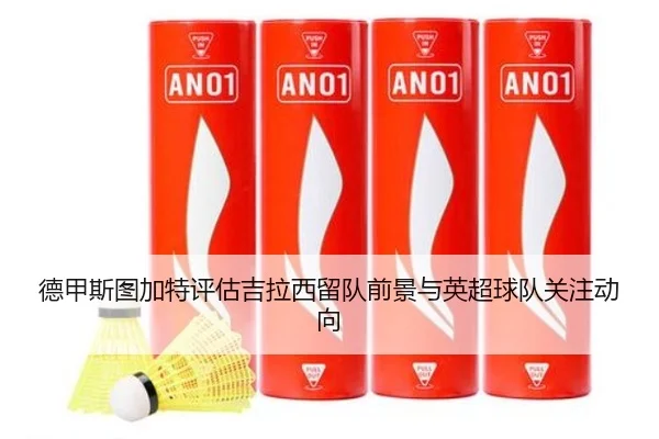 德甲斯图加特评估吉拉西留队前景与英超球队关注动向