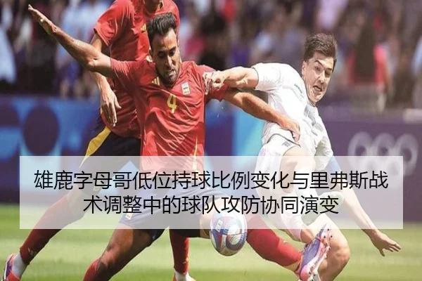 雄鹿字母哥低位持球比例变化与里弗斯战术调整中的球队攻防协同演变